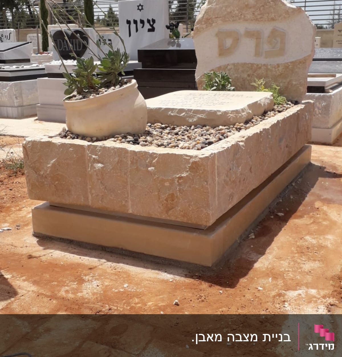 מצבות עם כיתוב בעברית וצמחים מסביב